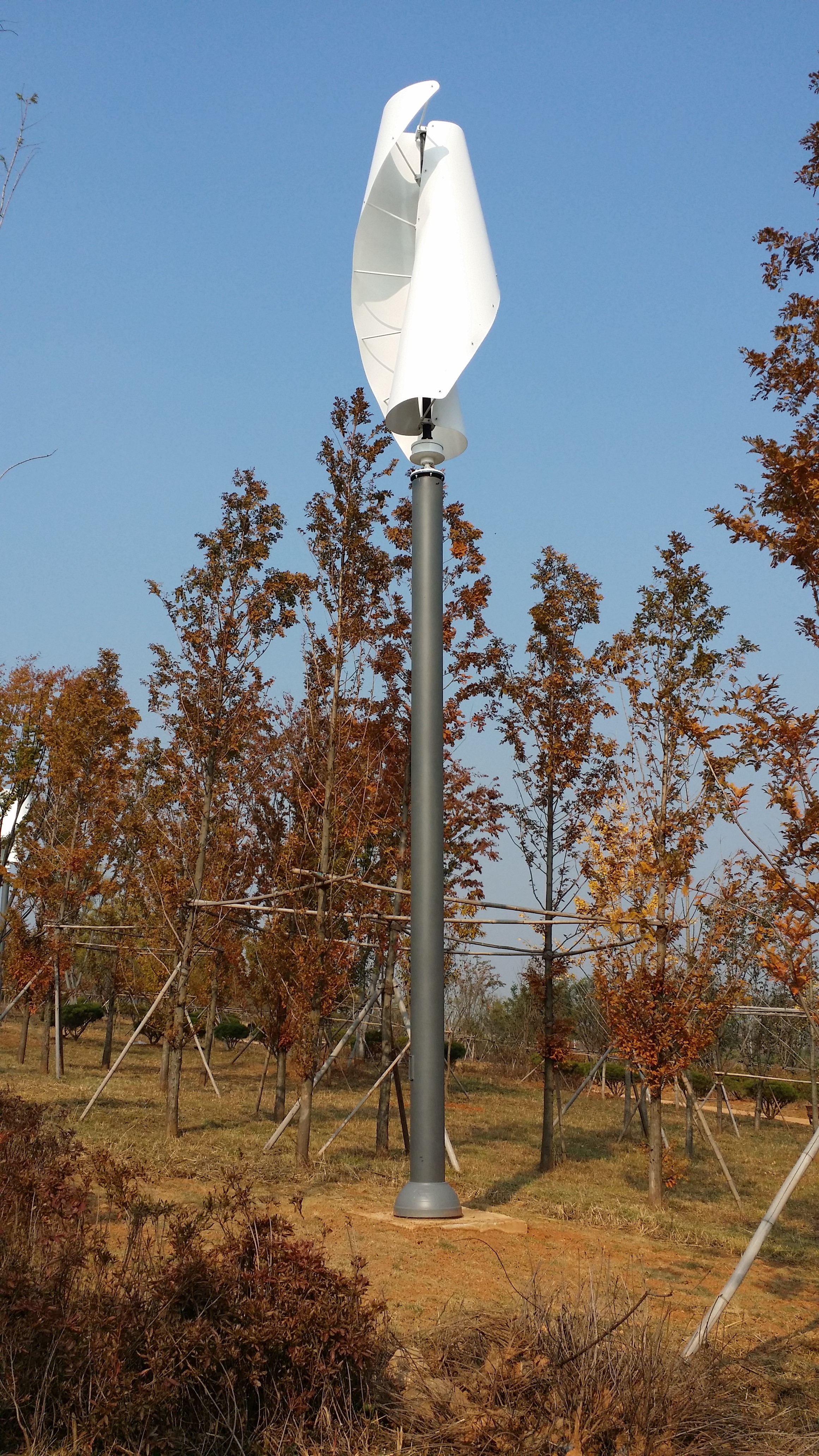 20151103_134807.jpg